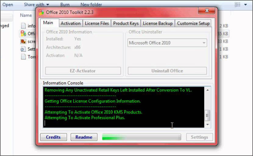 ms office home and student 2010 activator