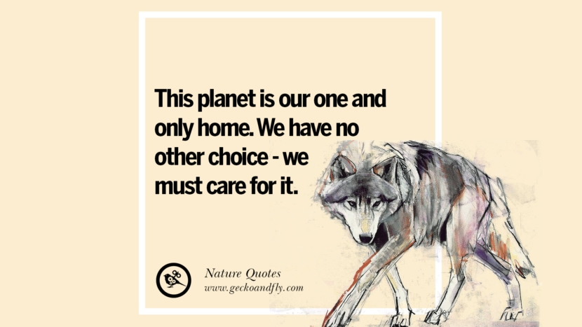 32 Beautiful Quotes About Saving Mother Nature And Earth