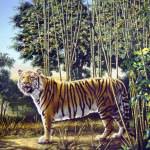 The Hidden Tiger Optical Illusion