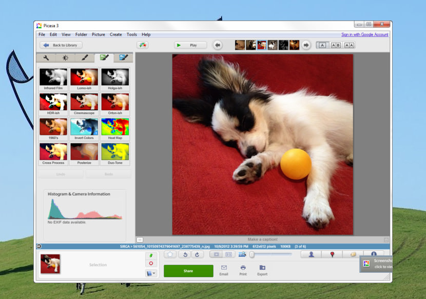 Free Photo Organizer Software Ios Mac