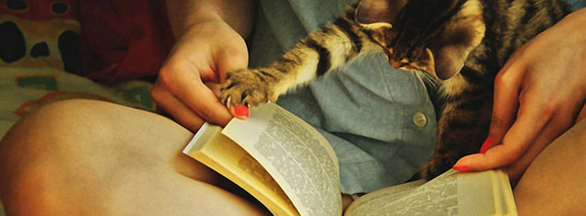 Cute Cat Reading