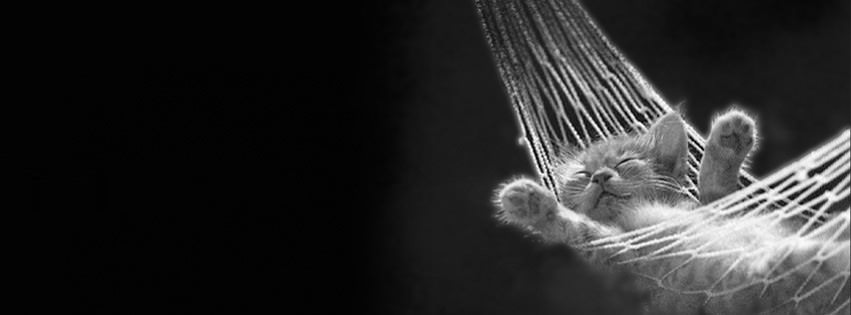 how do i resize a photo to facebook cover how do i resize a photo to facebook cover