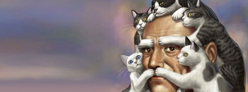 funny cats 4 facebook cover timeline banner for fb
