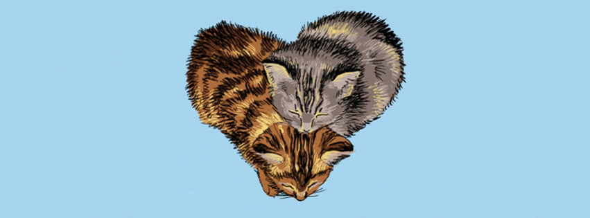 heart cats cute