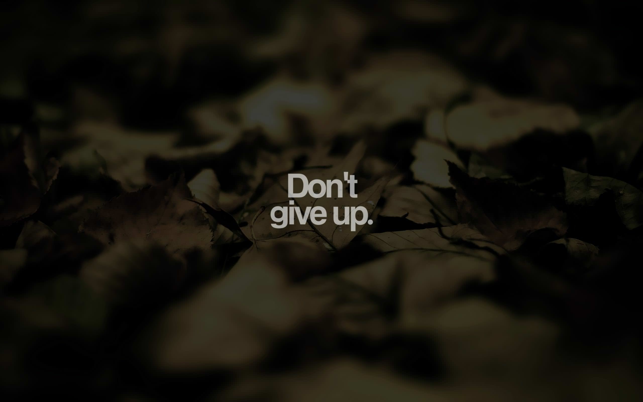 Don't Give Up Motivational Wallpaper - Dont Give Up World