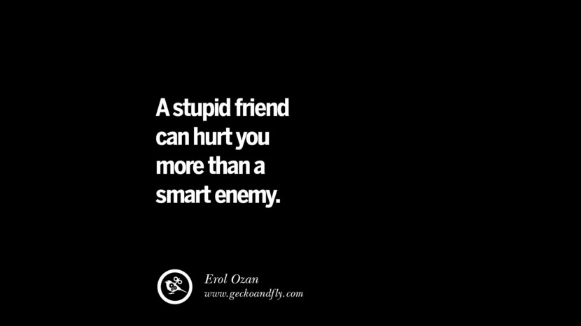 A stupid friend can hurt you more than a smart enemy. - Erol Ozan