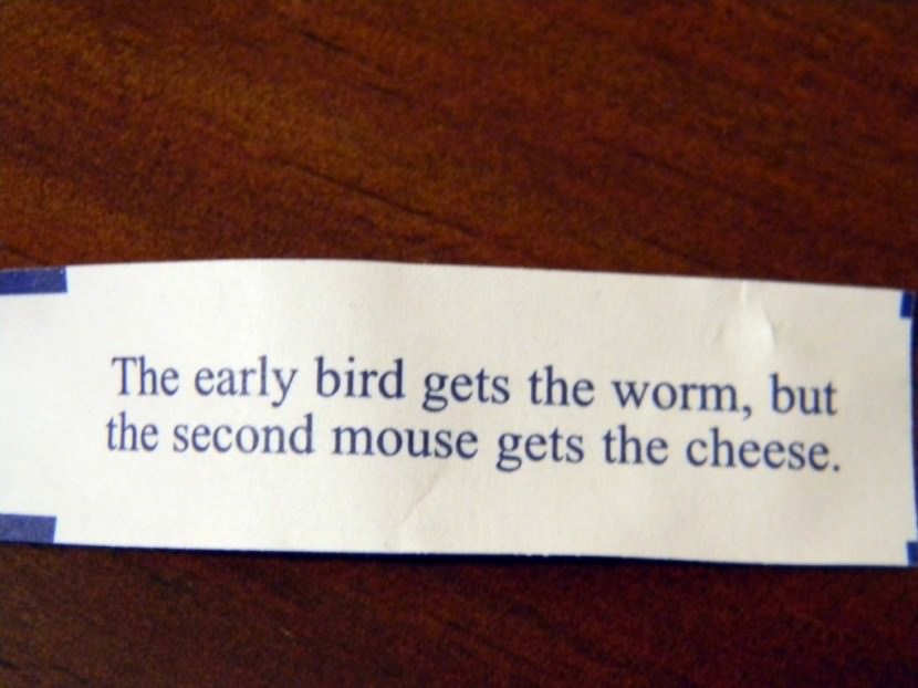 The early bird gets the worm, but the second mouse gets the cheese. Best Inspirational Chinese Japanese Fortune Cookie Quotes and Sayings On Life For Facebook And Tumblr