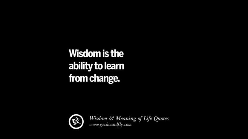 Wisdom is the ability to learn from change.