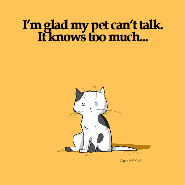 I'm glad my pet can't talk. It knows too much... 40 Funny Doodles For Cat Lovers and Your Cat Crazy Lady Friend grumpy tom talking nyan instagram pinterest facebook twitter comic pictures youtube