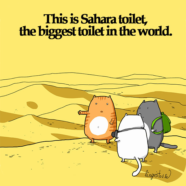 This is Sahara toilet, the biggest toilet in the world. 40 Funny Doodles For Cat Lovers and Your Cat Crazy Lady Friend grumpy tom talking nyan instagram pinterest facebook twitter comic pictures youtube