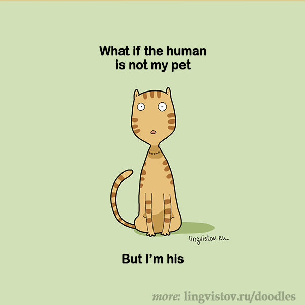 Funny Doodles For Cat Lovers