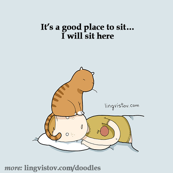 It's a good place to sit... I will sit here. 40 Funny Doodles For Cat Lovers and Your Cat Crazy Lady Friend grumpy tom talking nyan instagram pinterest facebook twitter comic pictures youtube