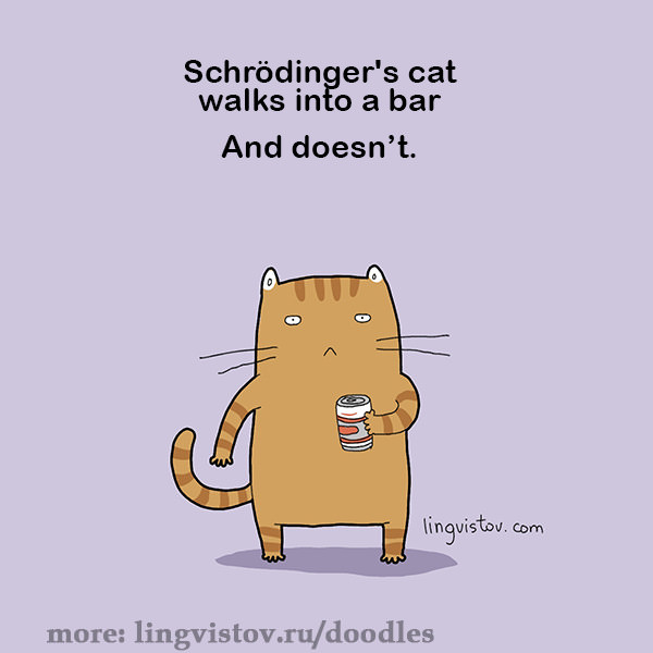 Schrodinger's cat walks into a bar... and doesn't. 40 Funny Doodles For Cat Lovers and Your Cat Crazy Lady Friend grumpy tom talking nyan instagram pinterest facebook twitter comic pictures youtube