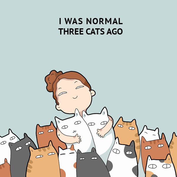 I was normal three cats ago. 40 Funny Doodles For Cat Lovers and Your Cat Crazy Lady Friend grumpy tom talking nyan instagram pinterest facebook twitter comic pictures youtube