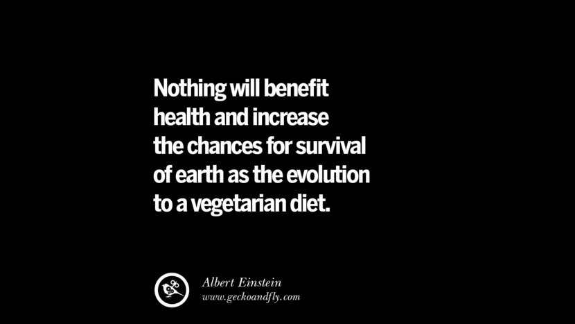 Nothing will benefit health and increase the chances for survival of earth as the evolution to a vegetarian diet. - Albert Einstein