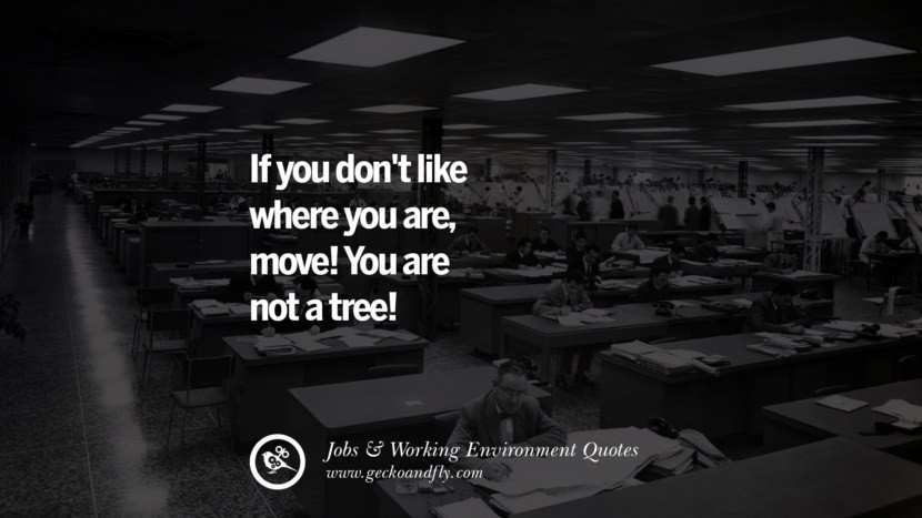 Se não gostas de onde estás, muda-te! Tu não és uma árvore! Citações Sobre a Ocupação de Trabalho no Escritório, Ambiente de Trabalho e Sucesso na Carreira't like where you are, move! You are not a tree! Quotes On Office Job Occupation, Working Environment and Career Success