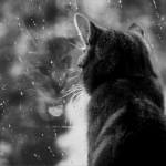 Courageous Quotes On Giving Up An Unhealthy Relationship