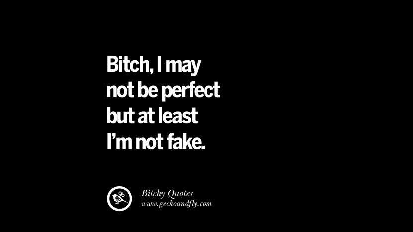 Bitch, I may not be perfect but at least I'm not fake.