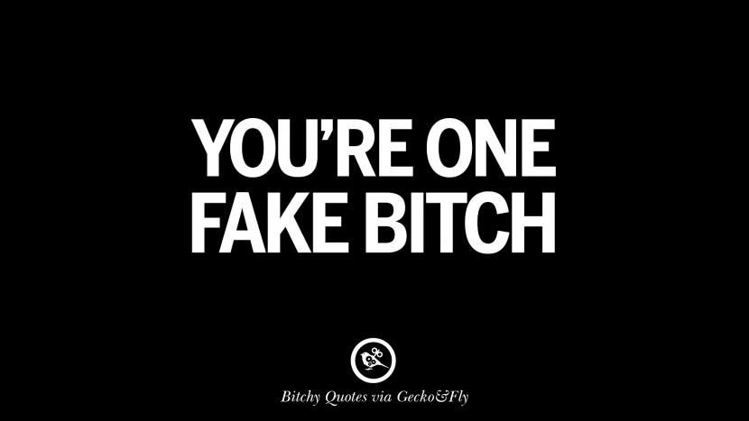 You're one fake bitch.