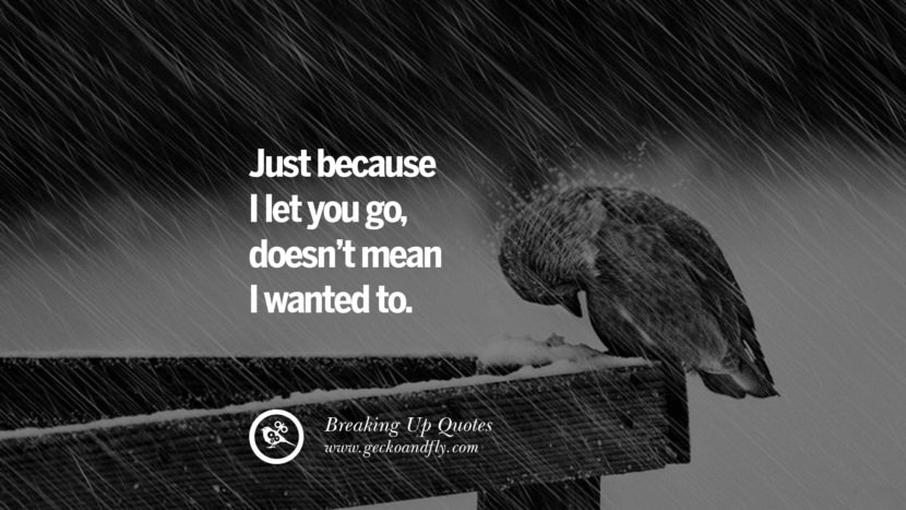Just because I let you go, doesn't mean I wanted to.