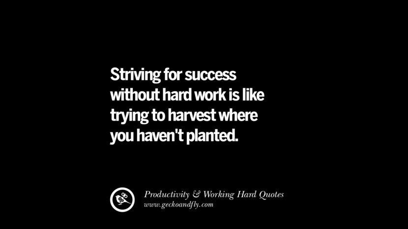 Desejar o sucesso sem trabalho árduo é como tentar colher onde não se plantou. Citações inspiradoras sobre Produtividade e Trabalho Duro para Alcançar o Sucesso facebook instagram twitter tumblr pinterest download do papel de parede do cartaz't planted. Inspiring Quotes On Productivity And Working Hard To Achieve Success facebook instagram twitter tumblr pinterest poster wallpaper download