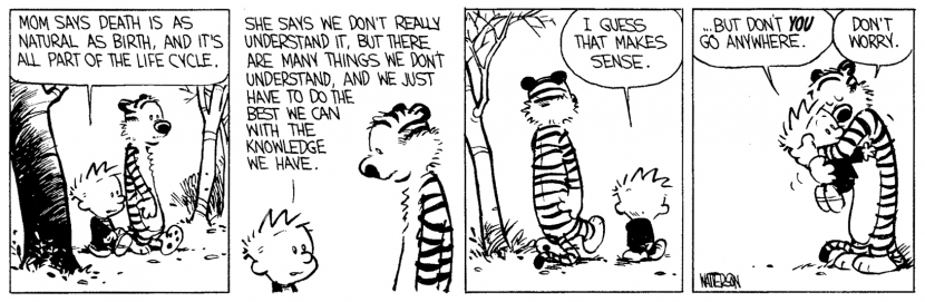 calvin hobbes death meaning