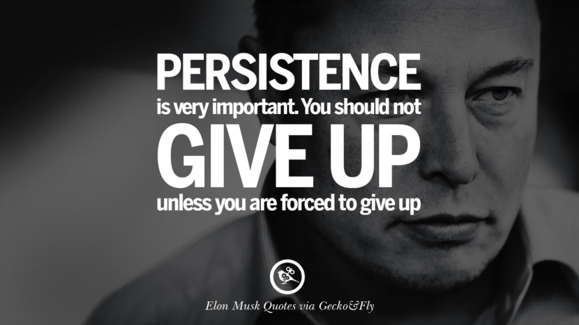 Persistence is very important. You should not give up unless you are forced to give up. Quote by Elon Musk