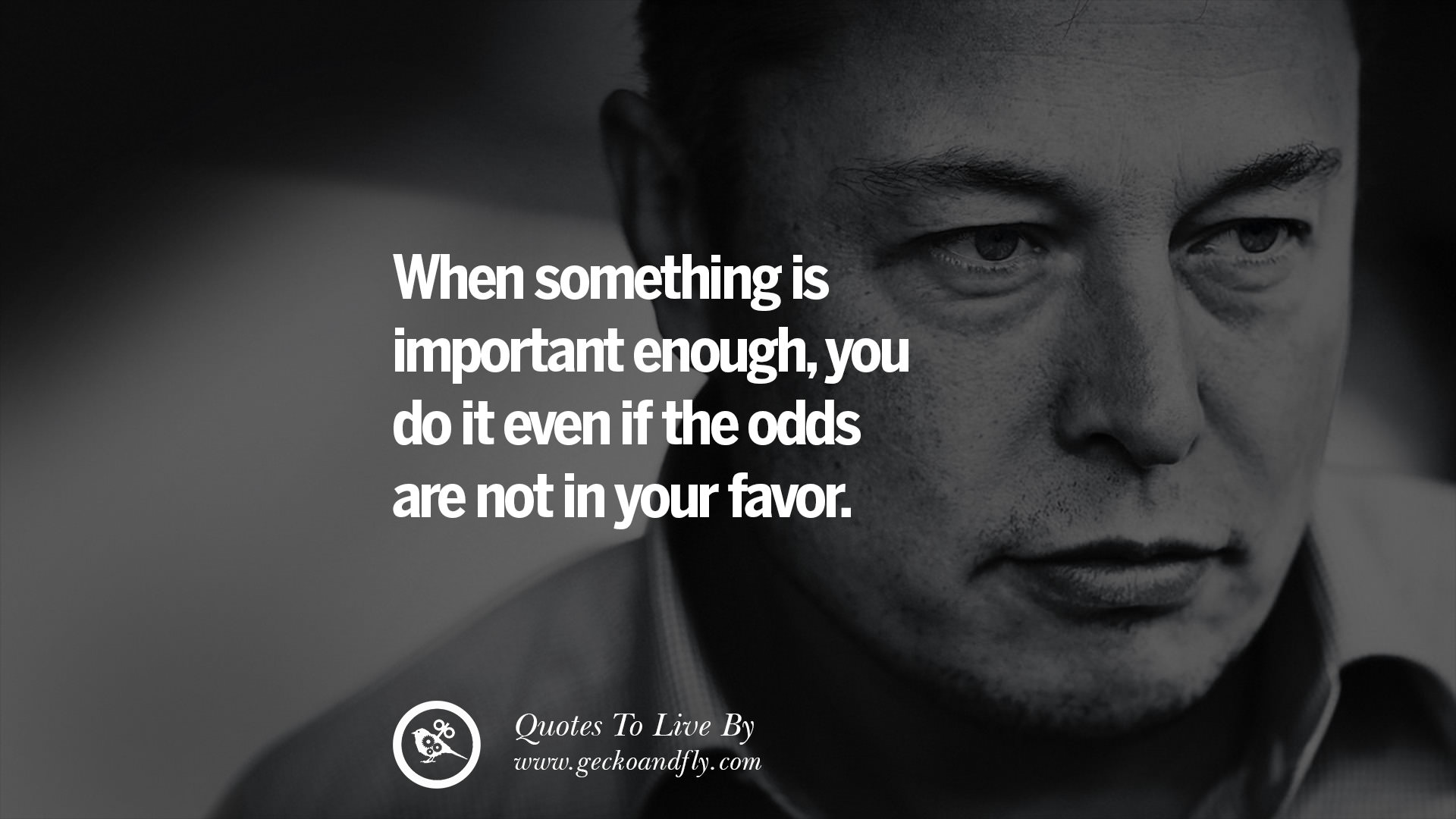 20 Elon Musk Quotes on Business, Risk and The Future