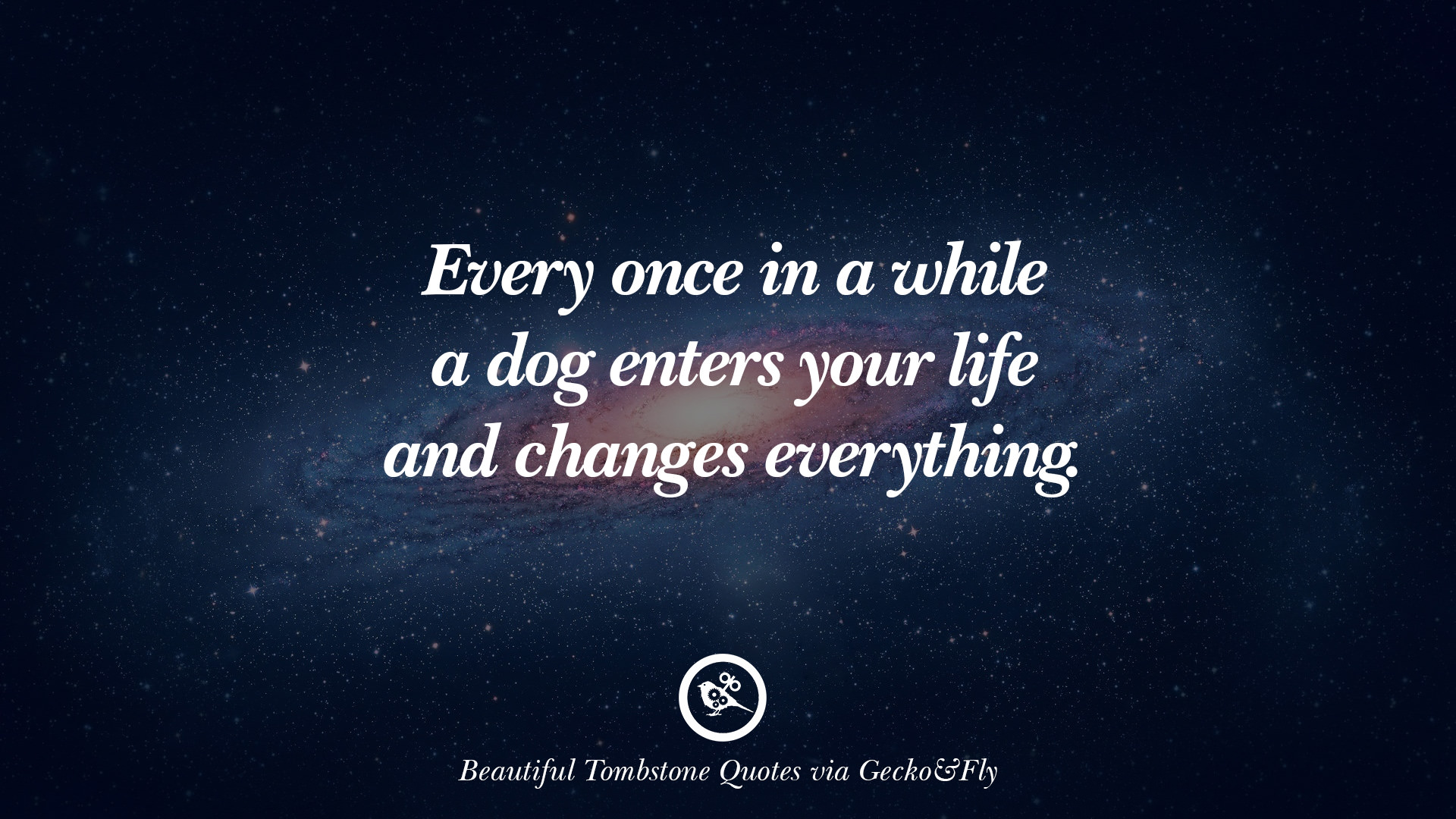 12 Beautiful Tombstone Quotes For Your Beloved Cat or Dog