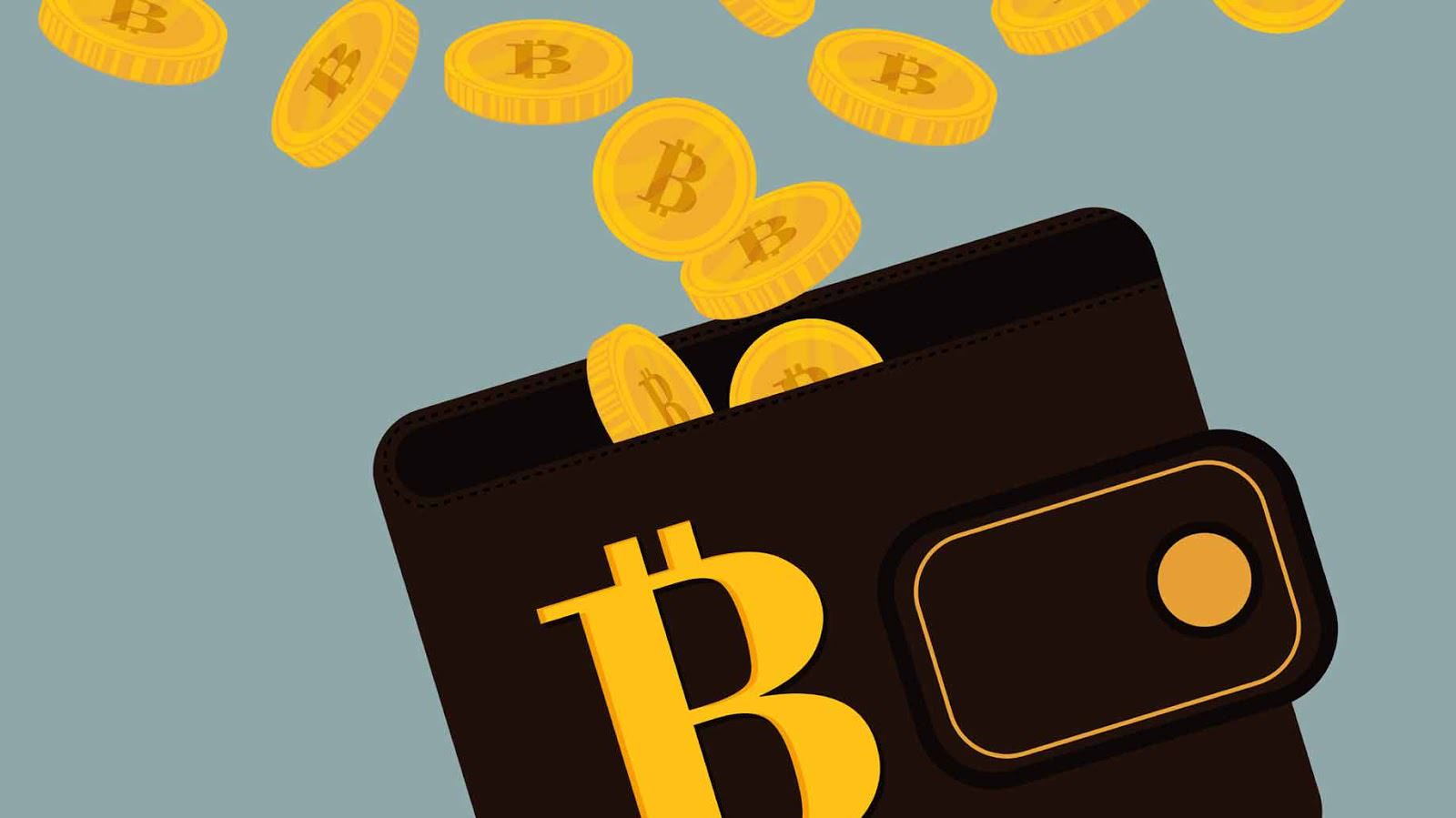 bitcoin cash wallet linux
