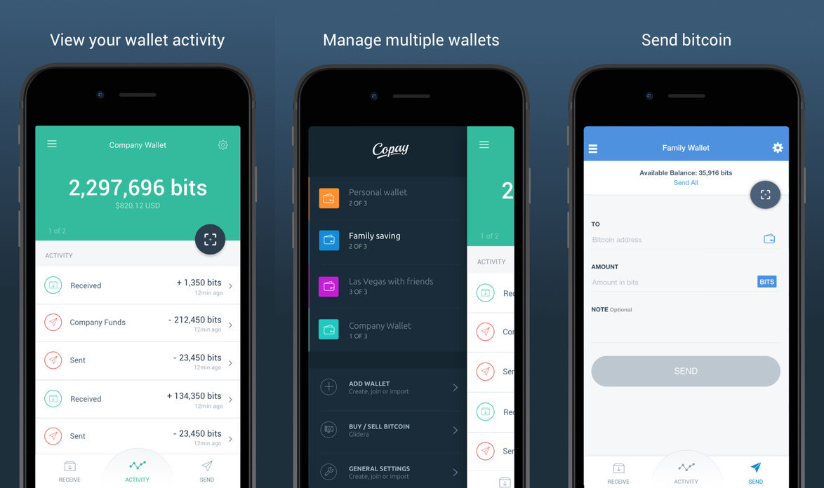 What Is The Best Bitcoin Wallet Payments App? : Best Bitcoin Wallets For Ios Iphone Ipad Crypto Pro / The best bitcoin wallets available make it easy to secure and manage your cryptocurrency , but cutting through the jargon for starters, mycelium is entirely open source, which is one of the most essential features for any good cryptocurrency wallet.