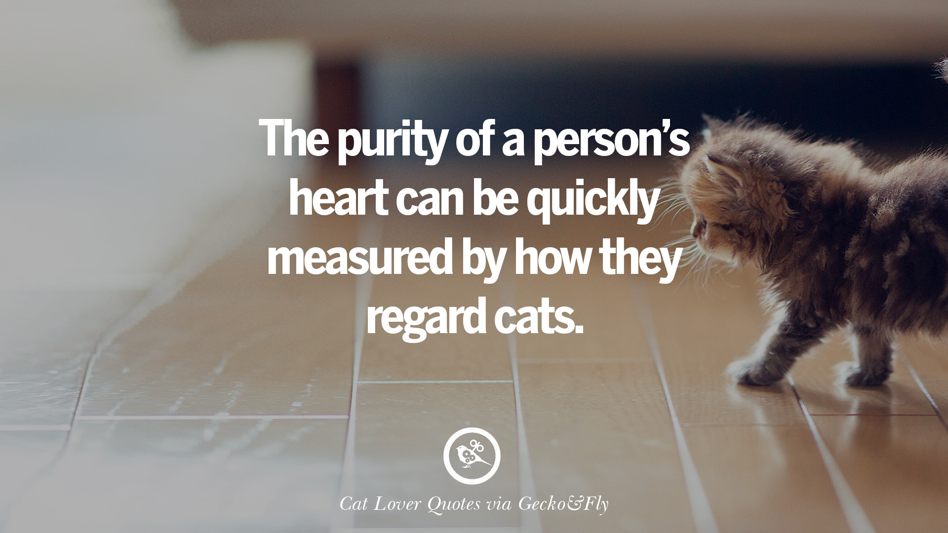 25 Cute Cat Images With Quotes For Crazy Cat Ladies, Gentlemen And Lovers