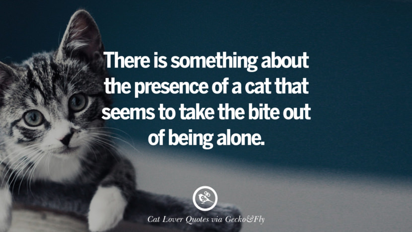There is something about the presence of a cat that seems to take the bite out of being alone.