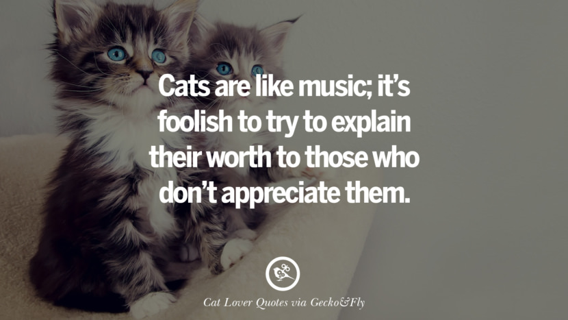 Cats are like music; it's foolish to try to explain their worth to those who don't appreciate them. Cute Cat Images With Quotes For Crazy Cat Ladies, Gentlemen And Lovers