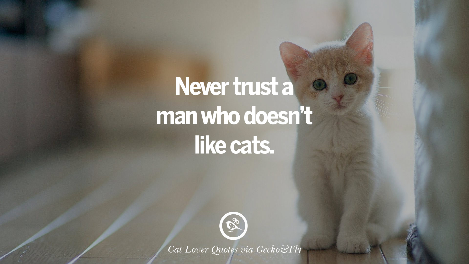 Sweet Cat Quotes