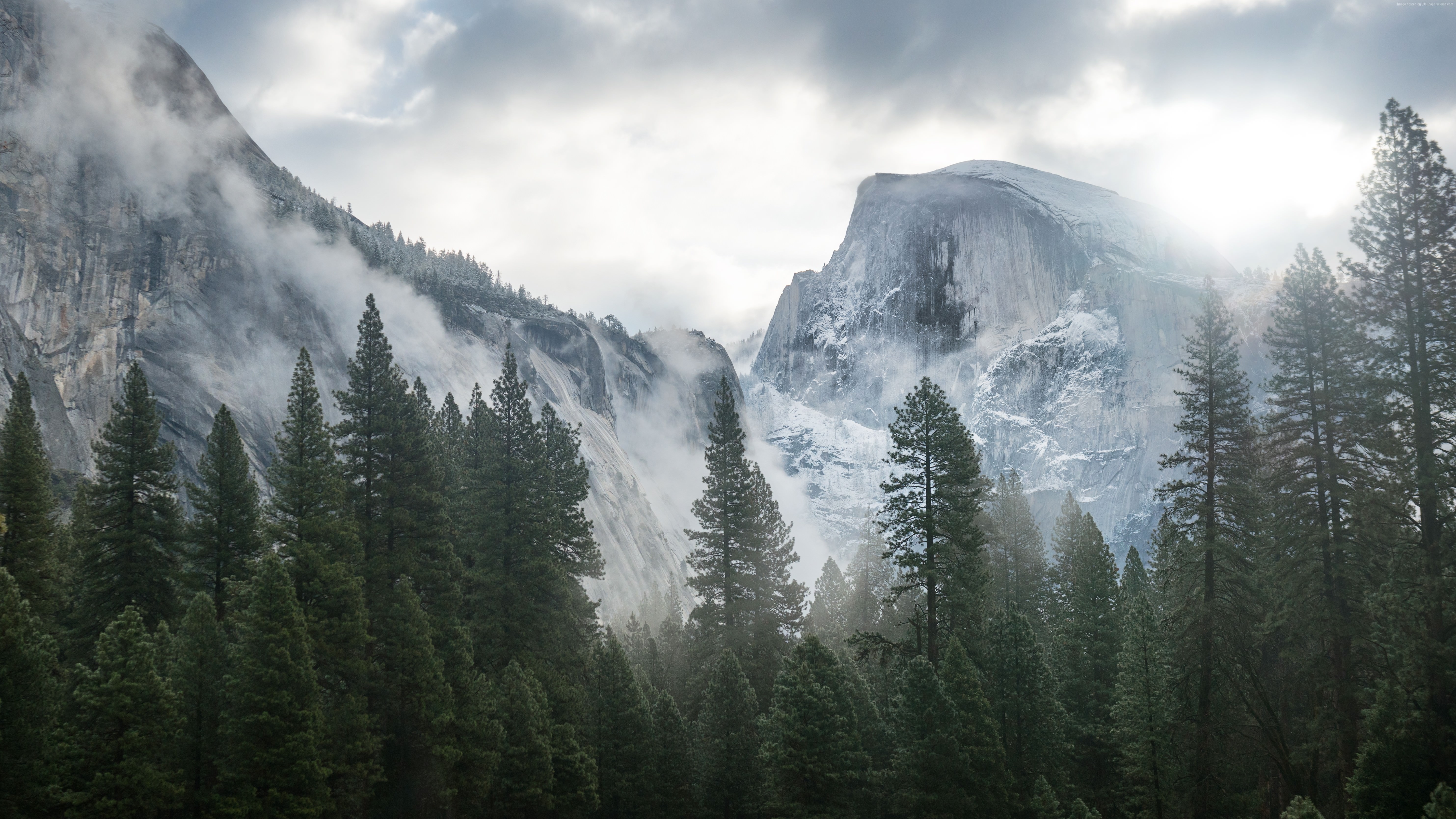 Free download Wallpaper OS Yosemite 5k wallpapers winter forest OSX apple  2560x1707 for your Desktop Mobile  Tablet  Explore 46 5K Apple  Wallpapers  5K Image HD Wallpaper Apple Apple 5K