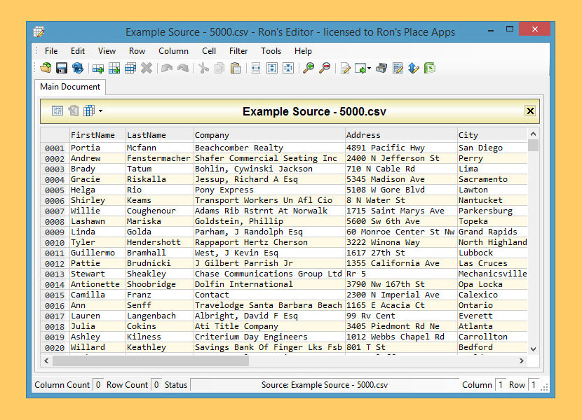 Rons CSV Editor Lite