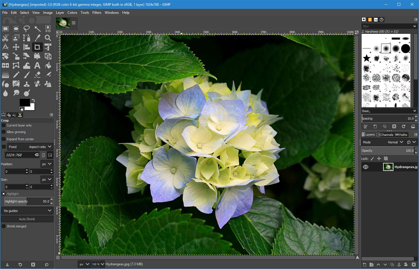 best open source photo editor for windows 10